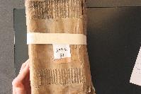 img_4011__4_.jpg