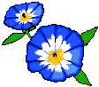 Fleurs